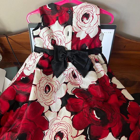 Gymboree 2 T dress - Picture 2 of 3